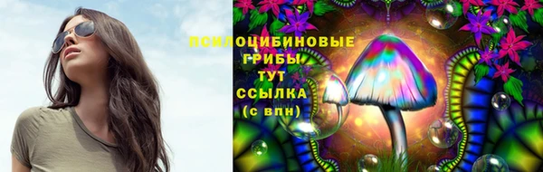 прущая мука Абаза