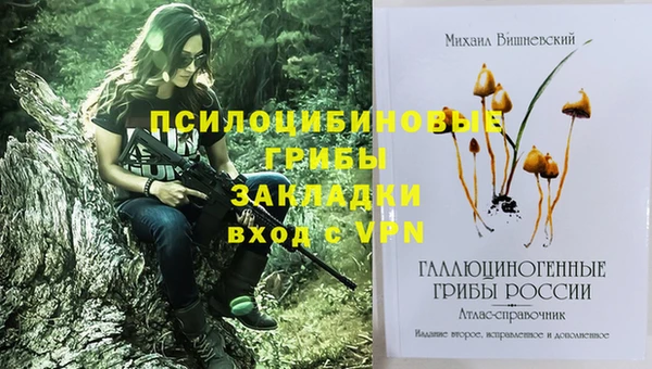 прущая мука Абаза